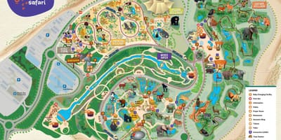 Зураг Дубай zoo